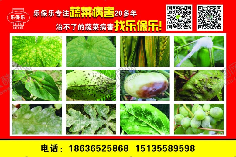 编号：24281706162122033690【酷图网】源文件下载-农药