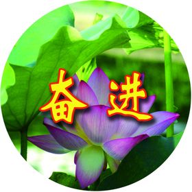 奋进封面