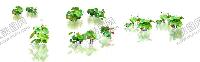 编号：70564407130129026831【酷图网】源文件下载-荷花单体