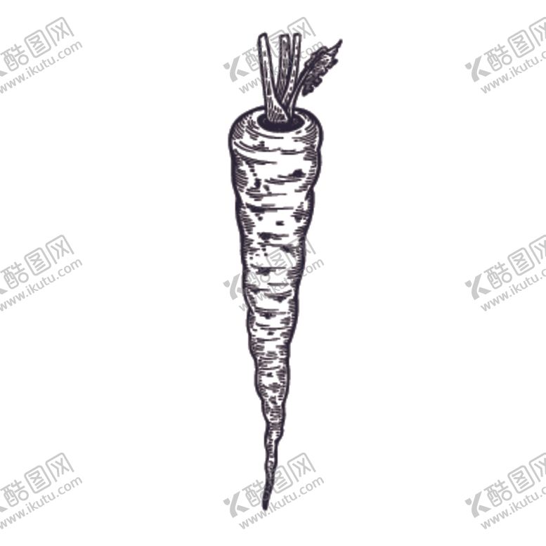 编号：85101705130826278959【酷图网】源文件下载-餐饮食物插画元素