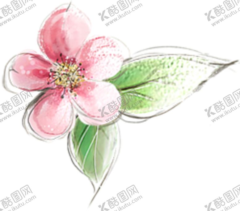 编号：20587206261337259136【酷图网】源文件下载-花朵