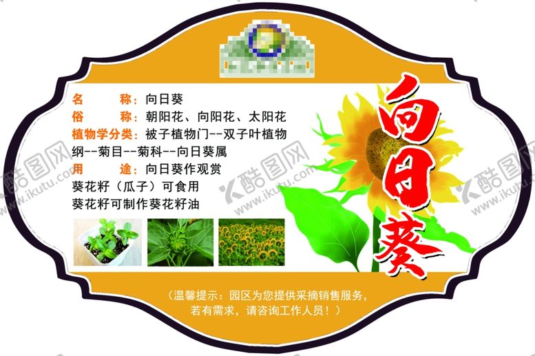 编号：72139609260815557739【酷图网】源文件下载-向日葵