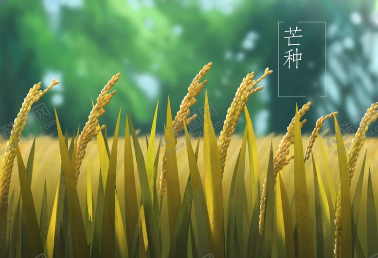 编号：38873307050156078668【酷图网】源文件下载-芒种