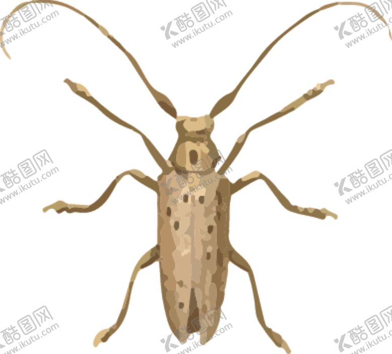 编号：13718607141726092107【酷图网】源文件下载-长须甲虫昆虫插画
