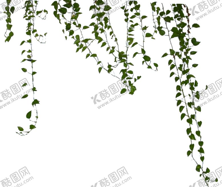 编号：33641909261043166190【酷图网】源文件下载-藤蔓前景