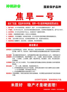 大米