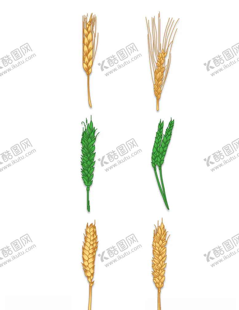 编号：88409406260021186370【酷图网】源文件下载-小麦
