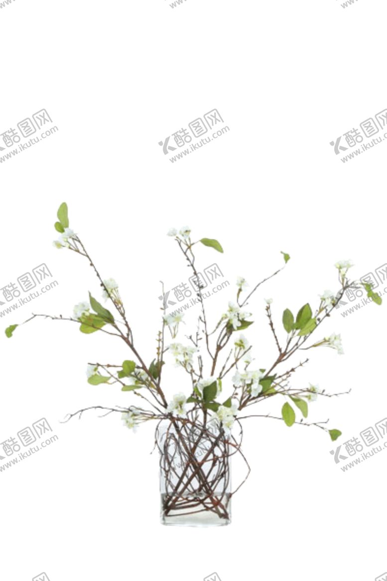 编号：26904006260626488944【酷图网】源文件下载-免抠背景花草树木