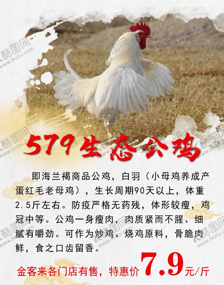 编号：68047907031945463413【酷图网】源文件下载-生态公鸡宣传促销海报