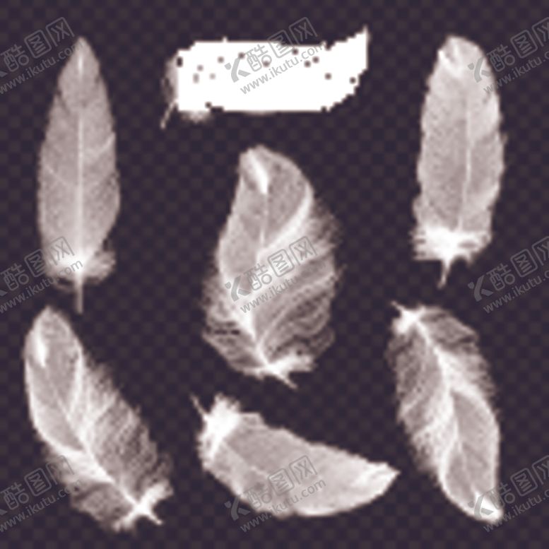 编号：82436210281330113824【酷图网】源文件下载-羽毛合集