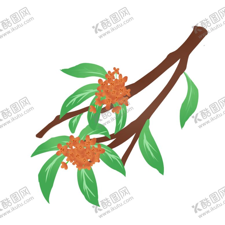 编号：34004701281536424143【酷图网】源文件下载-手绘桂花png免抠素材