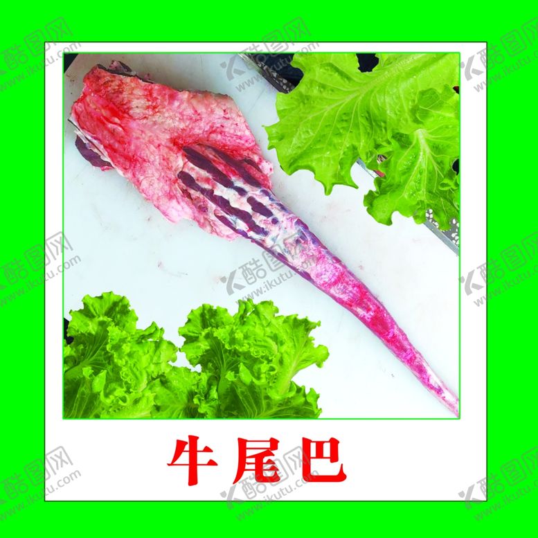 编号：24643901272232465915【酷图网】源文件下载-牛尾巴