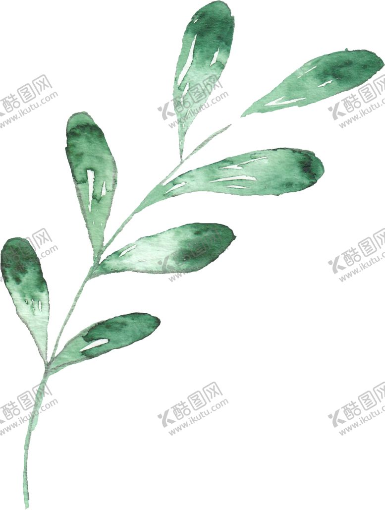 编号：57621609270754394374【酷图网】源文件下载-海报元素花草元素展架元素