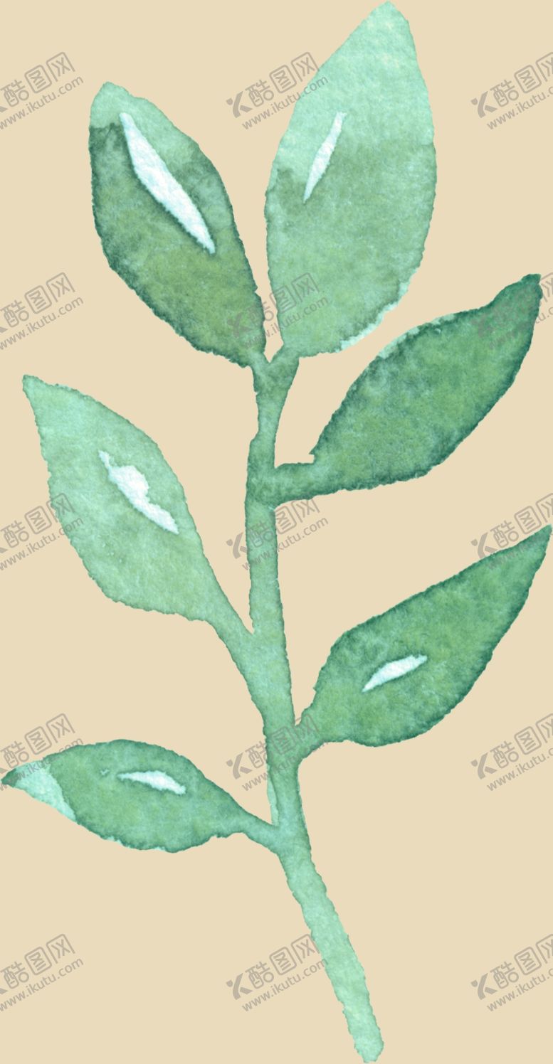 编号：37842710132221071445【酷图网】源文件下载-绿叶