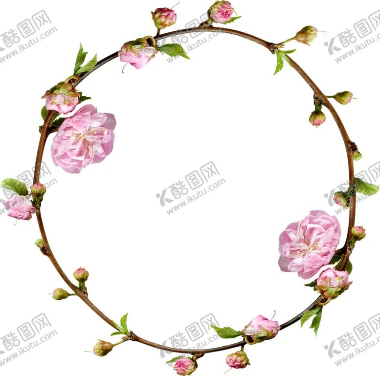 编号：49512806261857436606【酷图网】源文件下载-花图片