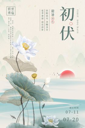 初伏时节荷花绽放美景