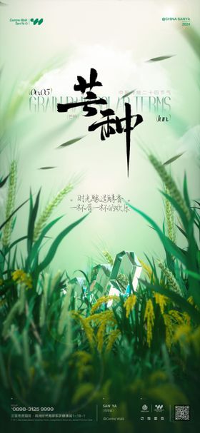 芒种海报