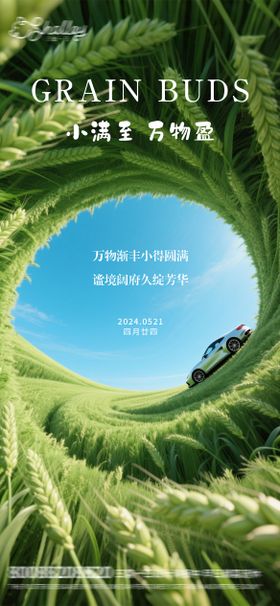 小满汽车海报