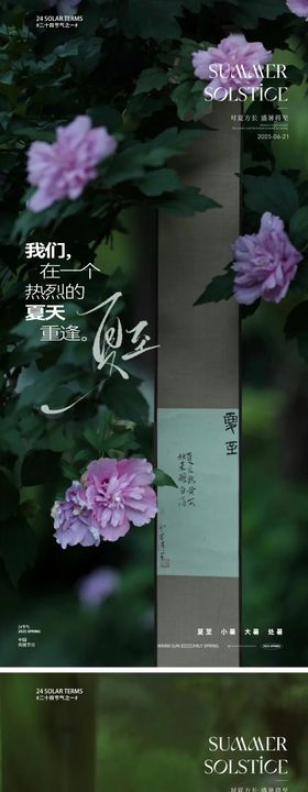 夏至节气海报