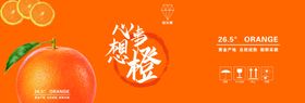 橙子包装