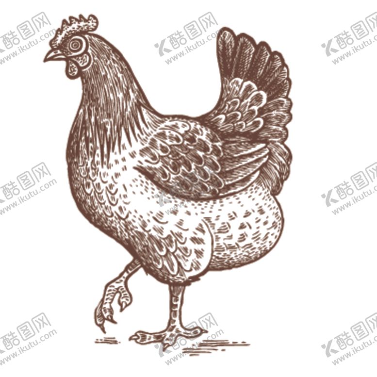 编号：96413509132219329715【酷图网】源文件下载-家养动物主题插画