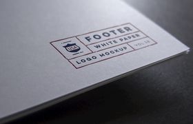 LOGO展示样机