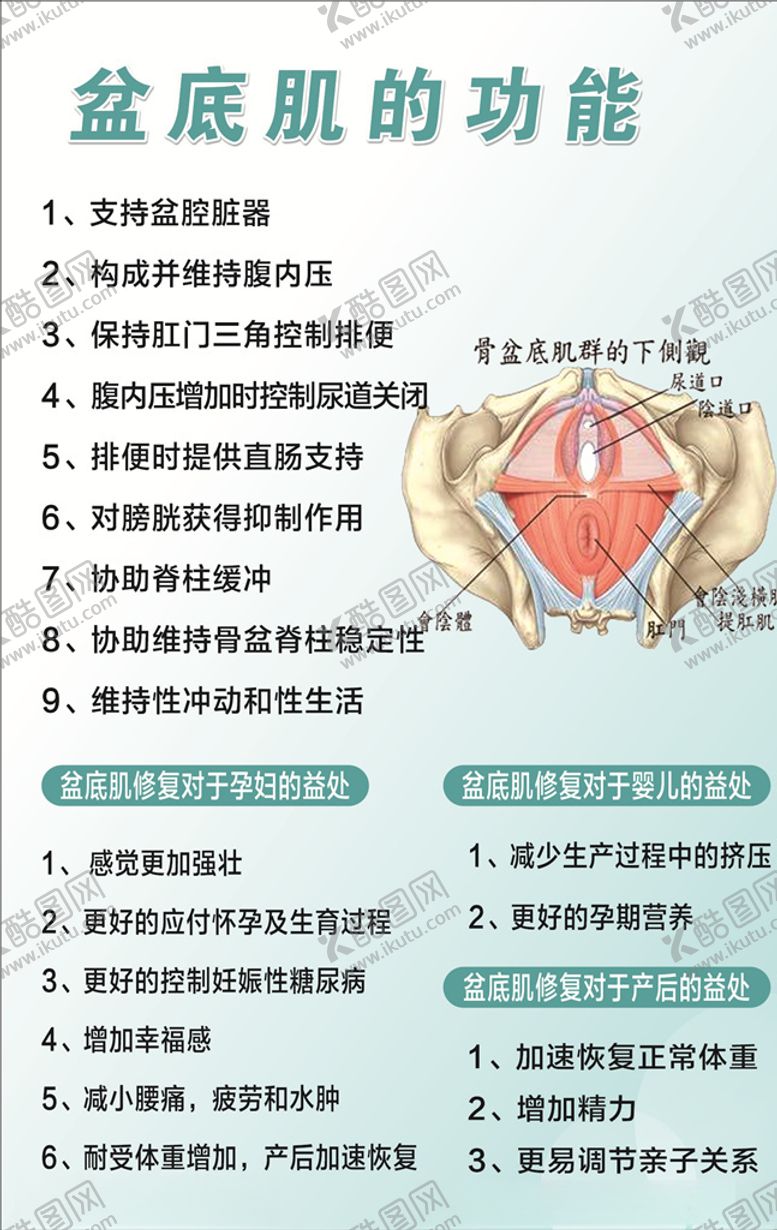 编号：86061210210349594339【酷图网】源文件下载-产后修复产后