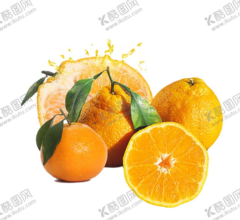编号：60092707120909269929【酷图网】源文件下载-水果