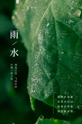 雨水节气