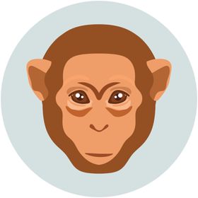 生态动物图标标志图形装饰素材
