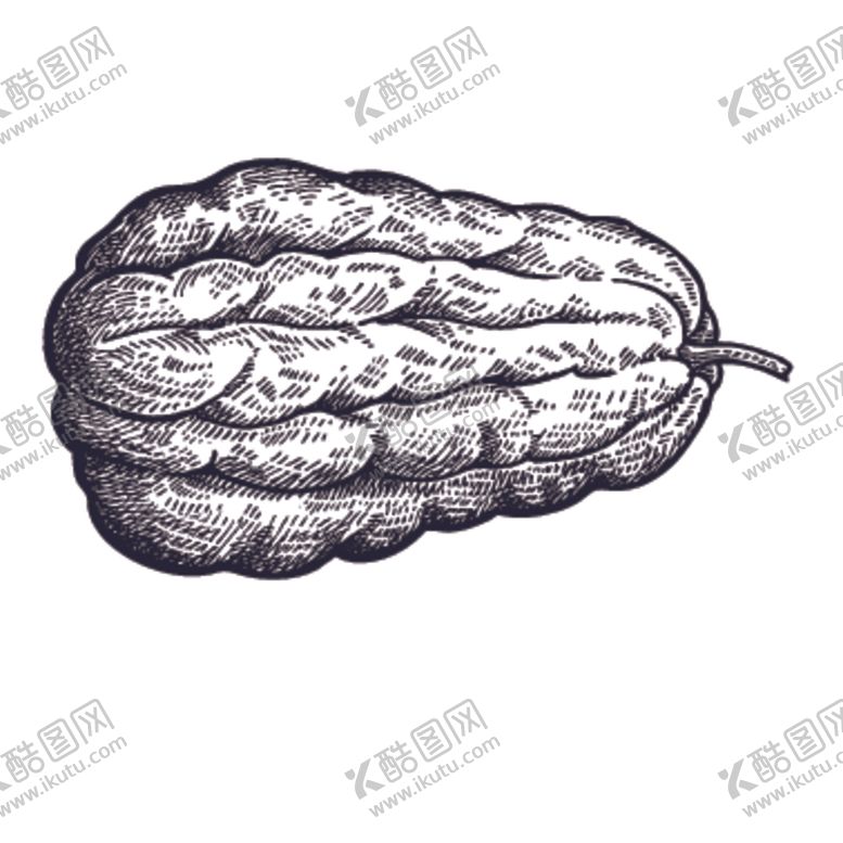 编号：63654910031939564700【酷图网】源文件下载-餐饮食物插画元素