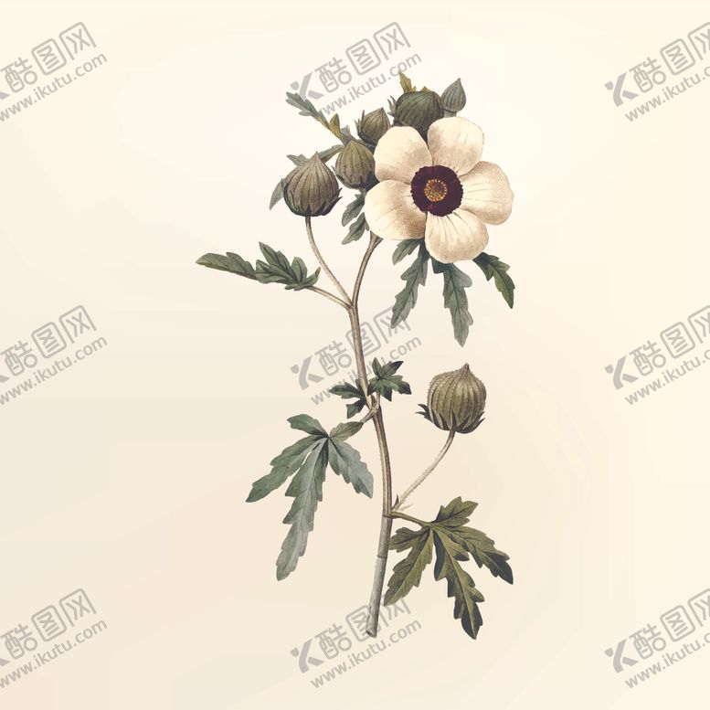 编号：47696906271958122046【酷图网】源文件下载-花纹
