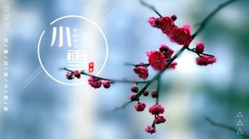 小雪