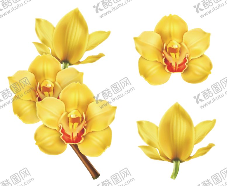 编号：75939210201227127541【酷图网】源文件下载-蝴蝶花手绘花