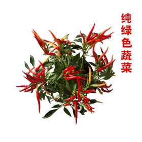 绿色蔬菜折页