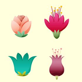 各种花朵手绘