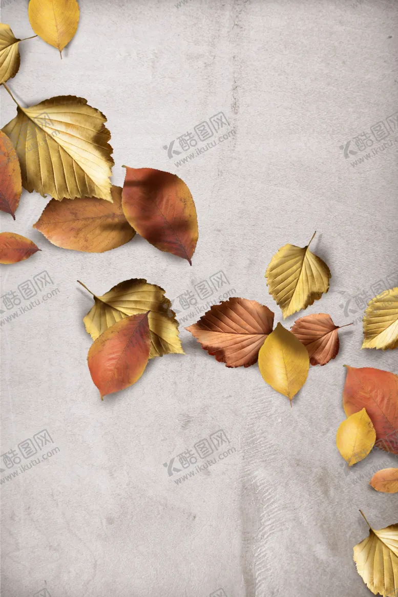 编号：22809109270550094892【酷图网】源文件下载-树叶玄关装饰画