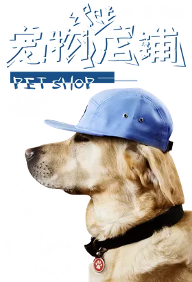 宠物店铺