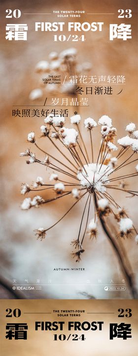 霜降节气质感海报