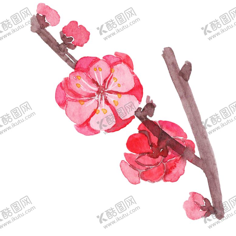 编号：18378101260951228072【酷图网】源文件下载-梅花桃花PNG