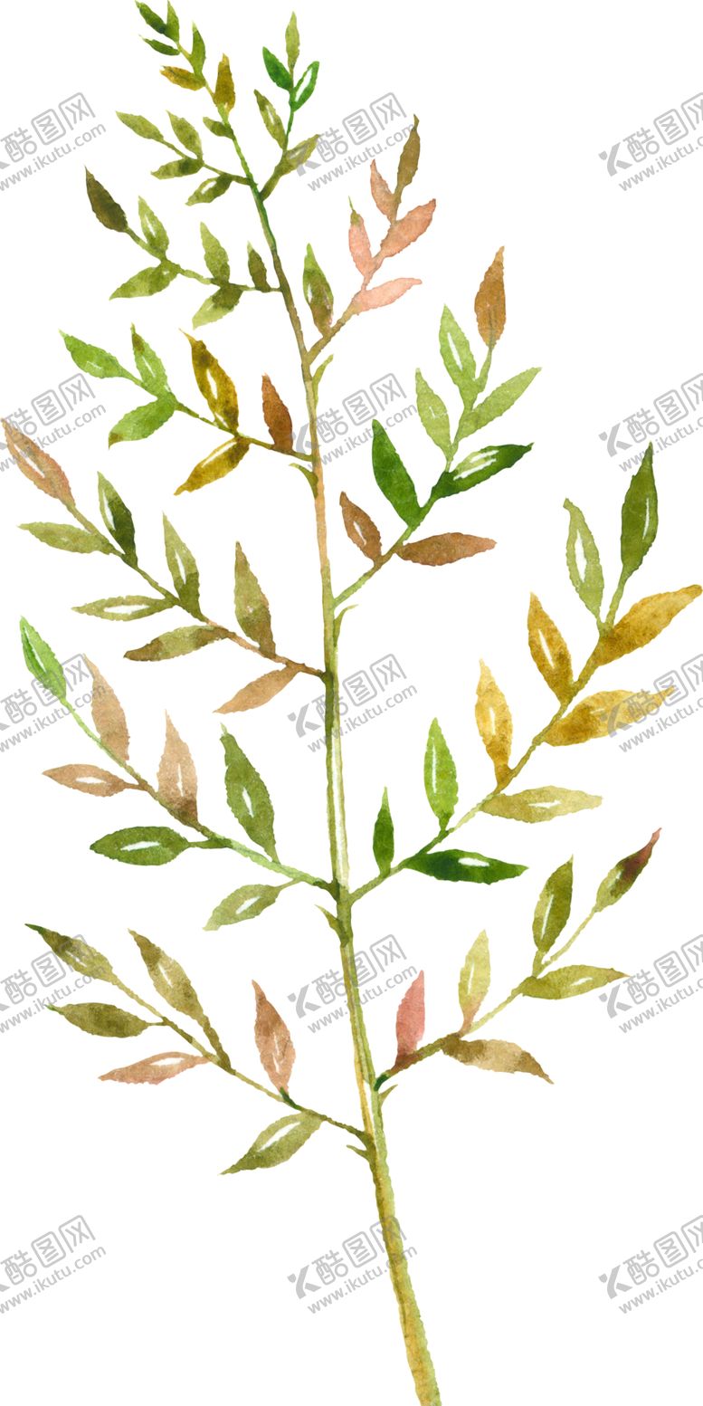 编号：61915705041807186464【酷图网】源文件下载-水彩手绘花卉花朵植物