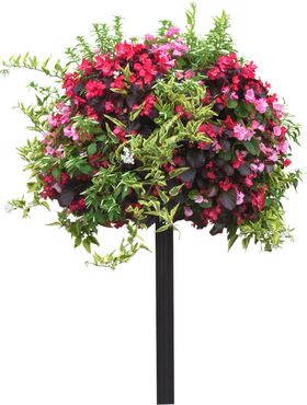 花球