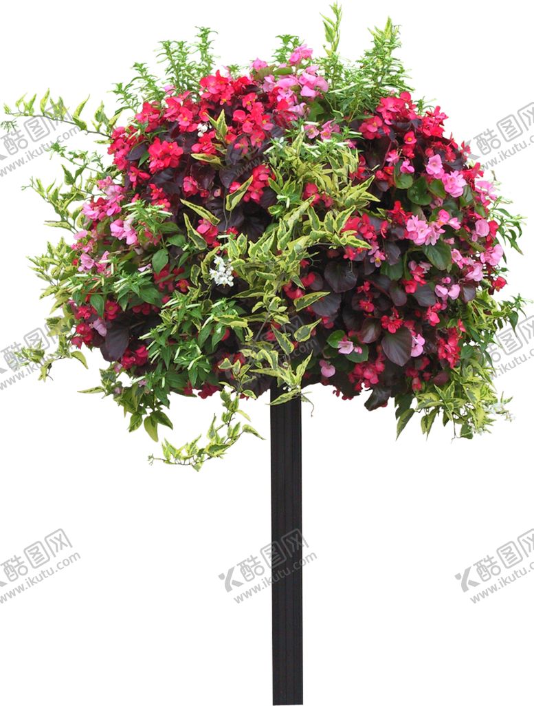 编号：45887209232028511248【酷图网】源文件下载-花球