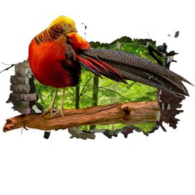3D墙画
