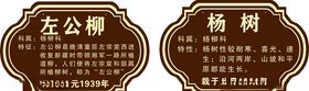 古树铭牌
