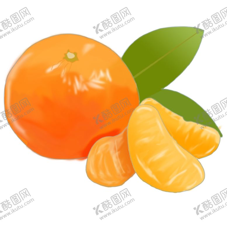 编号：17390710041737276372【酷图网】源文件下载-漳州芦柑手绘