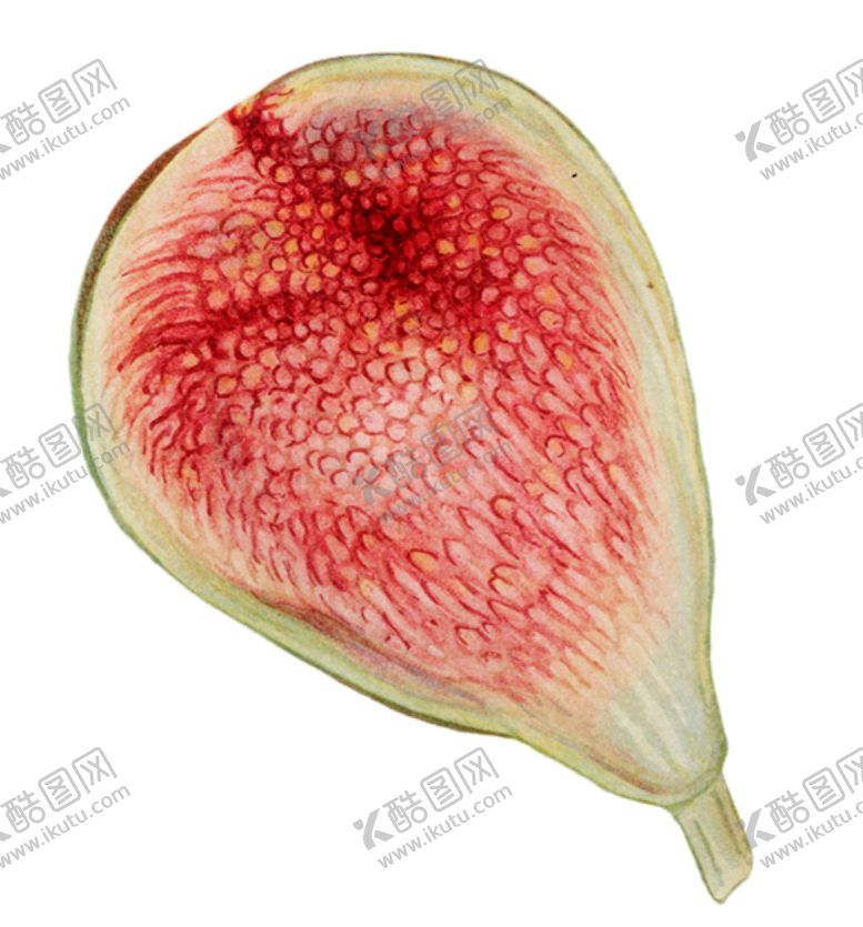 编号：99908701130031082478【酷图网】源文件下载-复古素材
