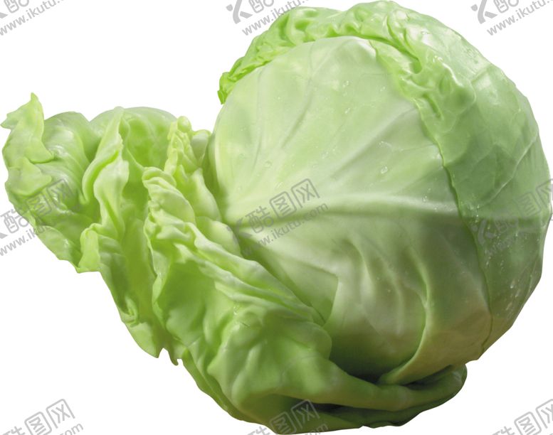 编号：77572009250457474832【酷图网】源文件下载-包菜