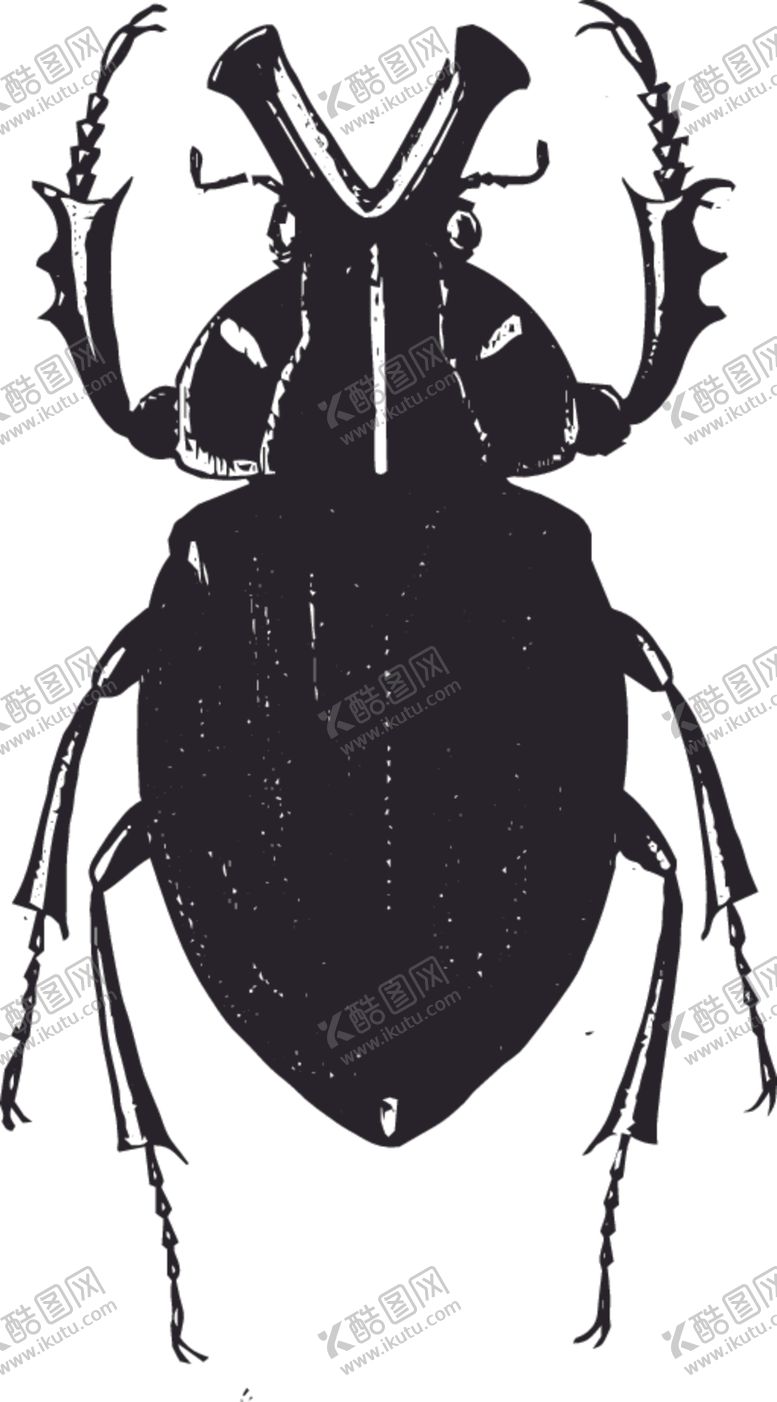 编号：47567307030015567984【酷图网】源文件下载-自然昆虫标本插画