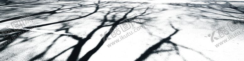 编号：26804005190747376049【酷图网】源文件下载-树影